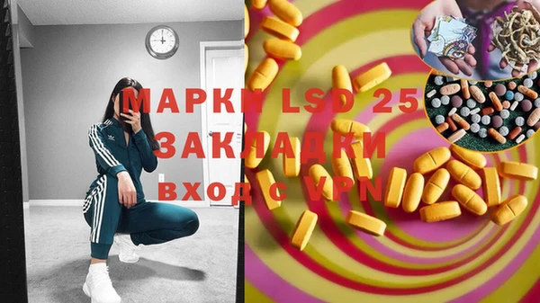 ГАЛЛЮЦИНОГЕННЫЕ ГРИБЫ Верхний Тагил