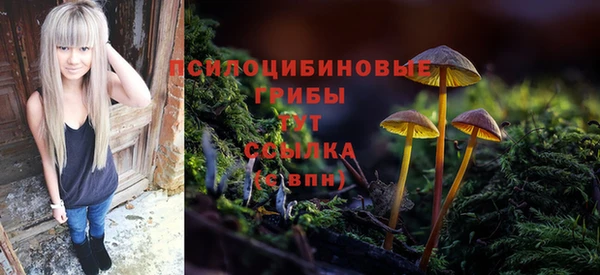 ГАЛЛЮЦИНОГЕННЫЕ ГРИБЫ Верхний Тагил