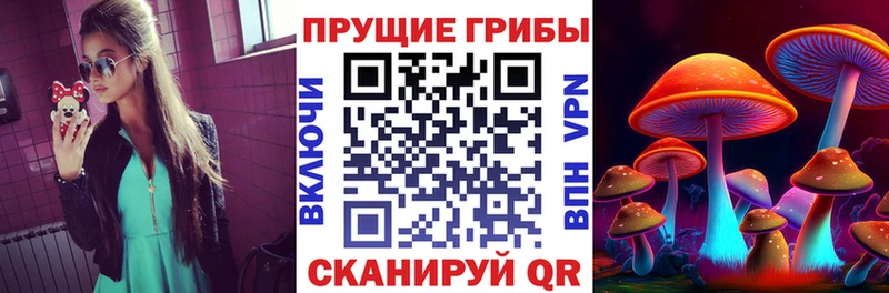 Псилоцибиновые грибы мицелий  Кириши 